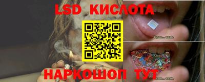 прущие грибы Северобайкальск
