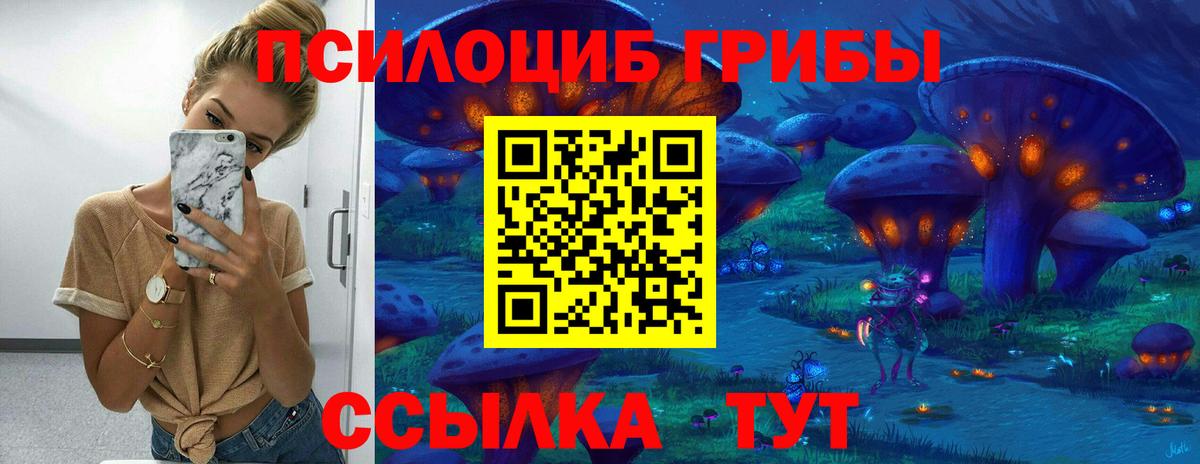 Псилоцибиновые грибы Psilocybe Россошь