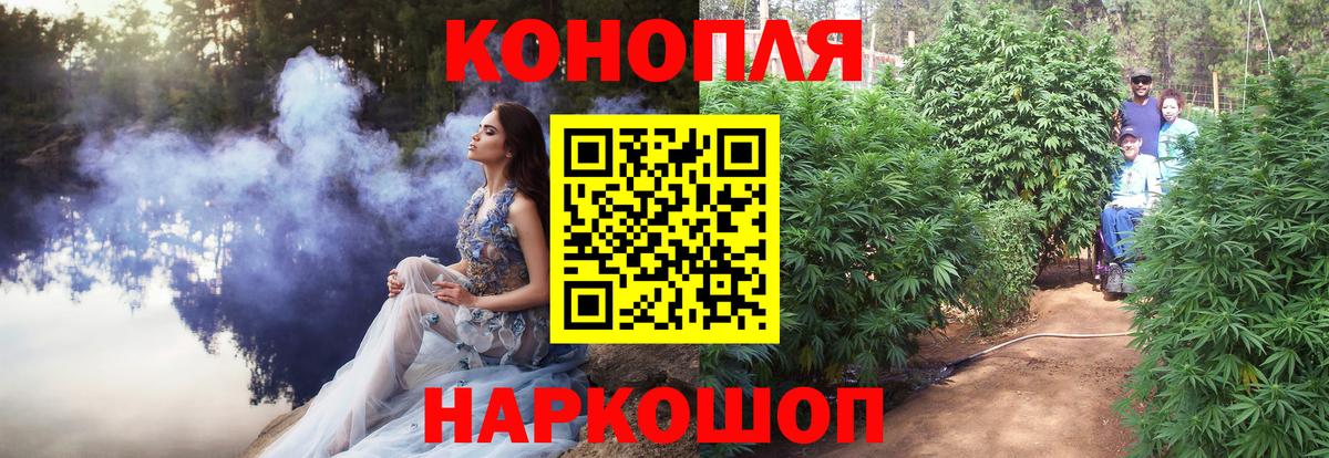 Бошки марихуана ГИДРОПОН  Канабис Bruce Banner  Россошь  Конопля индика  Конопля семена  Вход с VPN 
